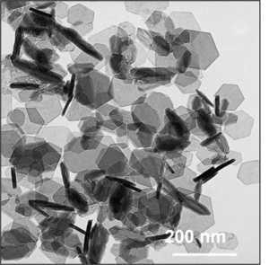 Layered Double Hydroxide particles through Transmission Electron Microscopy
